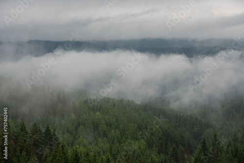 Norwegian landscape with white fog over green trees with mountains in the background. © Emils