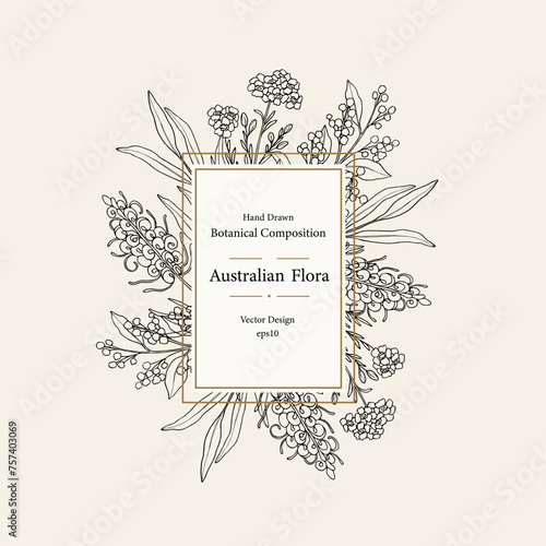 Hand drawn waxflower, blue gum eucalyptus, grevillea, wattle frame