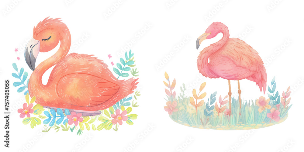  cute flamingo watercolour vector illustration