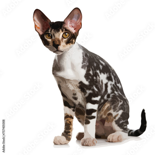 Cornish Rex Cat Clipart isolated on white background