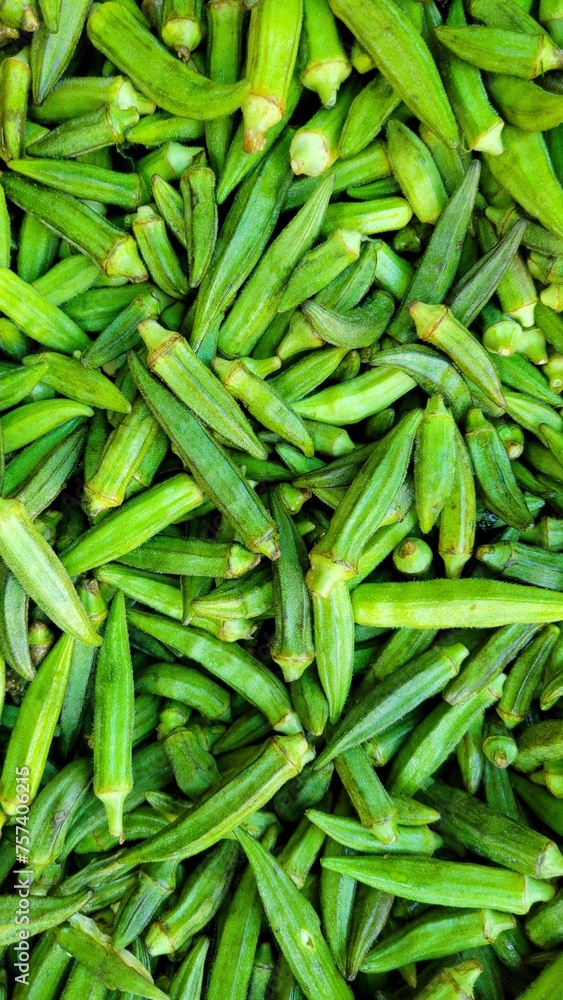 Green fresh okra or green laddy finger background Green fresh okra or green laddy finger background