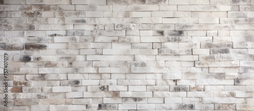 A closeup shot showcasing the textured pattern of beige brickwork on a white brick wall. The monochrome image features a blurry background  highlighting the composite materials rectangular shape