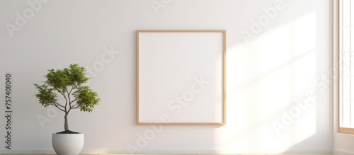 Empty wooden picture frame in empty room white wall background there are tropical plants in flower pots.