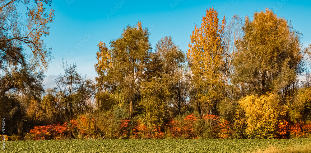 Fototapeta premium Autumn or indian summer view near Breitfeld, Deggendorf, Bavaria, Germany