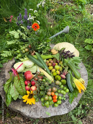 Bird bath in garden filled with natural foods like fruits and vegetables