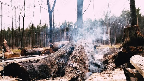 Smoking and smoldering burnt wood