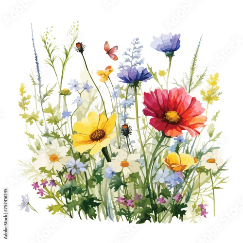 Fototapeta Naklejka Na Ścianę i Meble -  Wildflower Meadow Clipart Clipart isolated on white background 