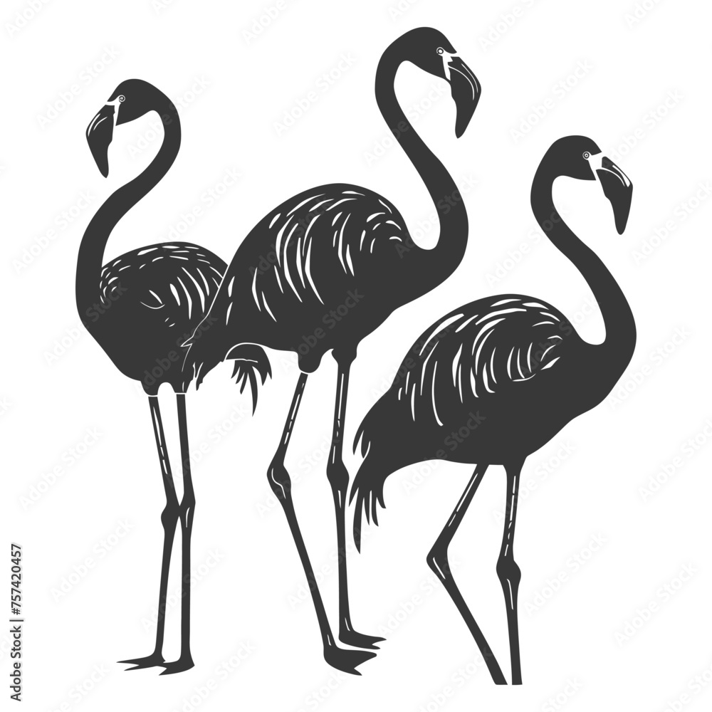 Fototapeta premium Silhouette Flamingos Birds black color only full body