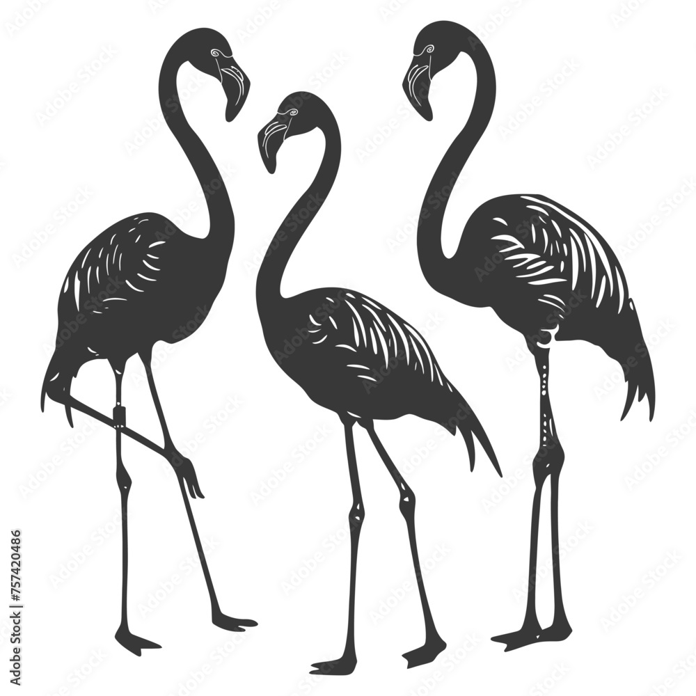 Fototapeta premium Silhouette Flamingos Birds black color only full body