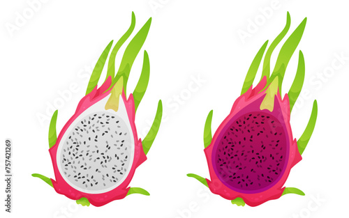 Exotic tropical fruits, half of white, pink pitahaya, dragon fruit isolated on white background. Gradient. Vector illustration for postcard, banner, web, adv, design, arts