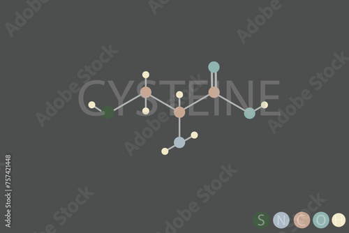 cysteine molecular skeletal chemical formula	
