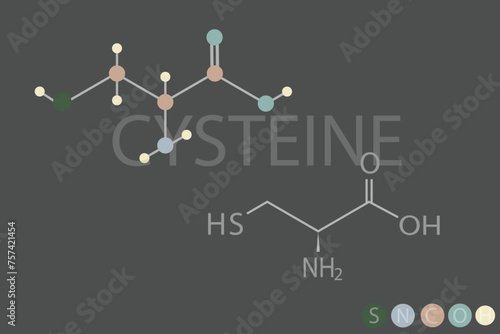 cysteine molecular skeletal chemical formula	
