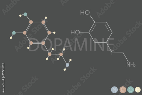 dopamine molecular skeletal chemical formula	
