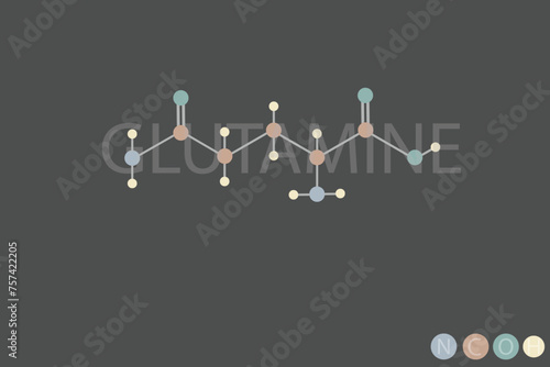  glutamine molecular skeletal chemical formula	
