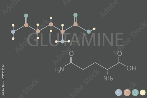 glutamine molecular skeletal chemical formula	
