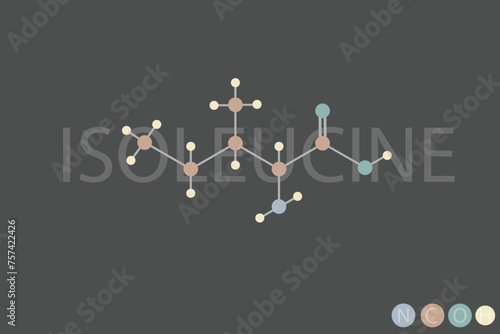isoleucine molecular skeletal chemical formula	
