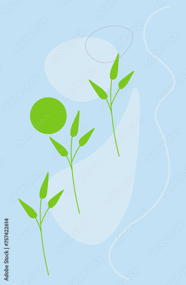 illustration of a plant