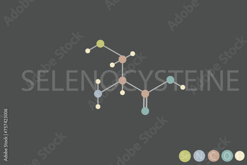 selenocysteine molecular skeletal chemical formula	
