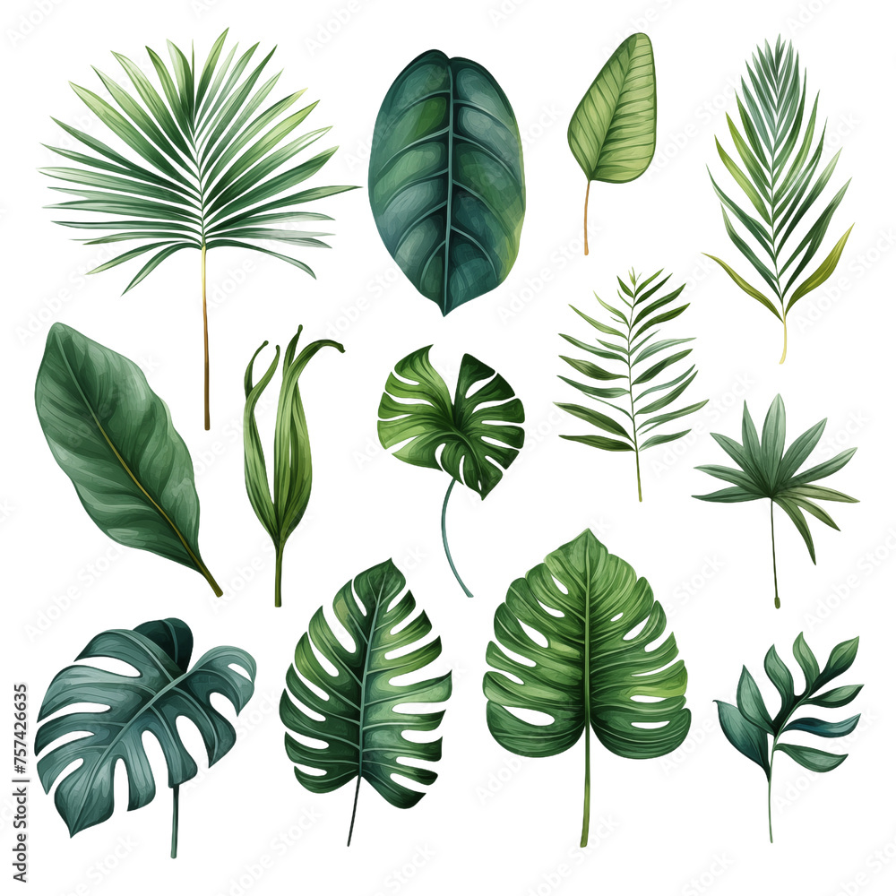 Variety of Stylized Tropical Leaves in Botanical Illustration
