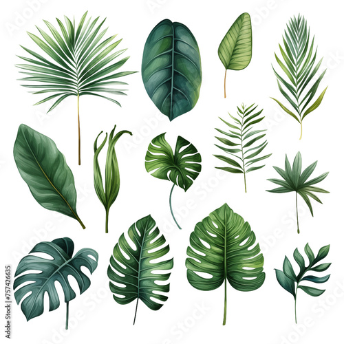Variety of Stylized Tropical Leaves in Botanical Illustration