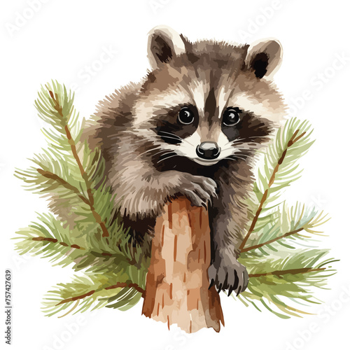 Pine Tree Raccoon Clipart isolated on white background