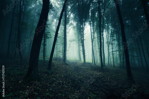 dark fantasy forest at night  halloween landscape
