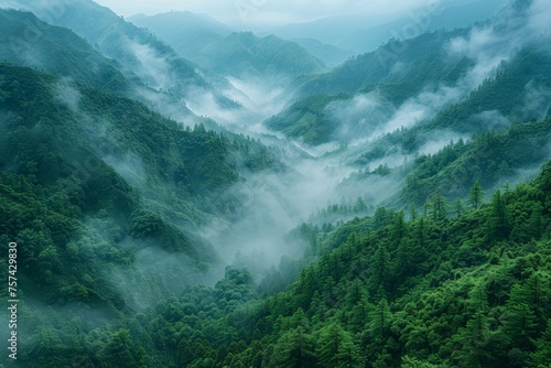 Bird's eye view of the Himalayan impenetrable jungle in dark green shades and fog. © artdolgov