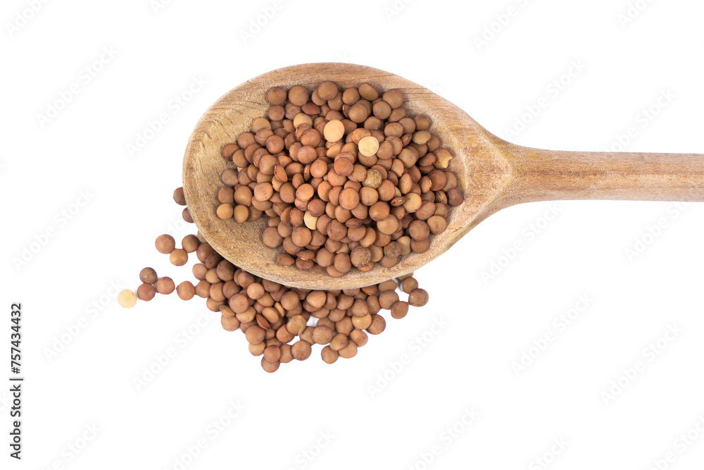 a small pile of lentils a small pile of lentils