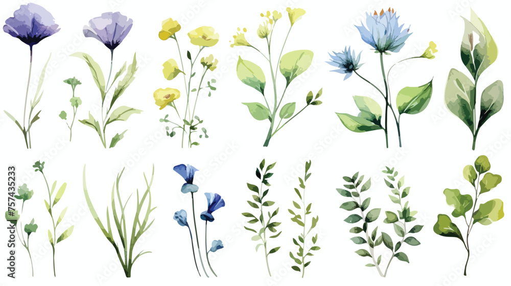 Botanical floral watercolor risk. Wildflower wild  - obrazy, fototapety, plakaty 