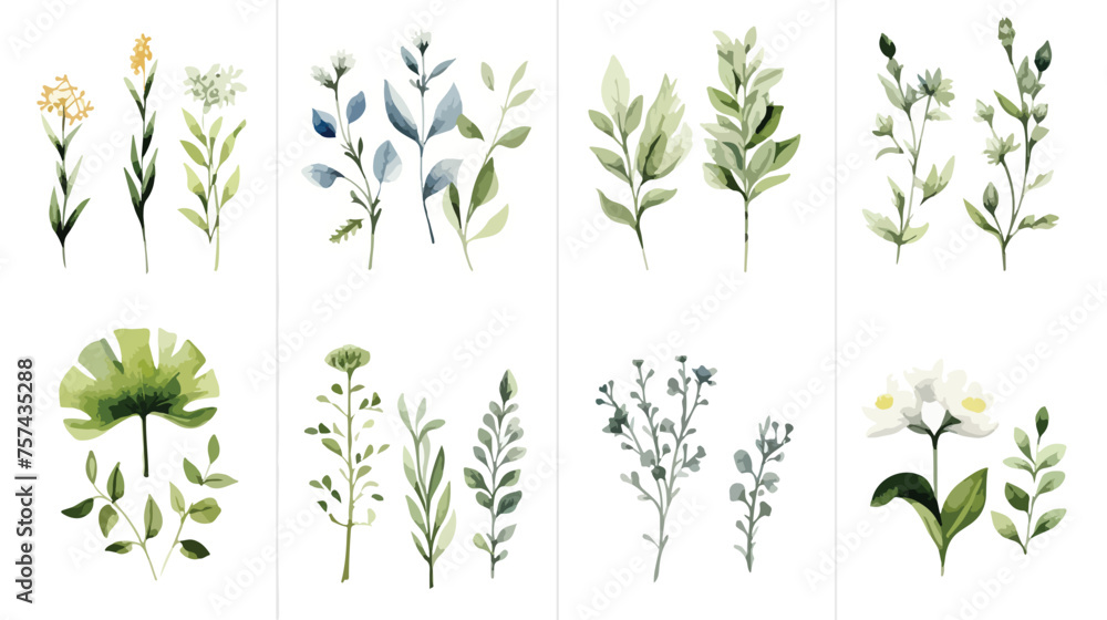 Botanical floral watercolor risk. Wildflower wild  - obrazy, fototapety, plakaty 