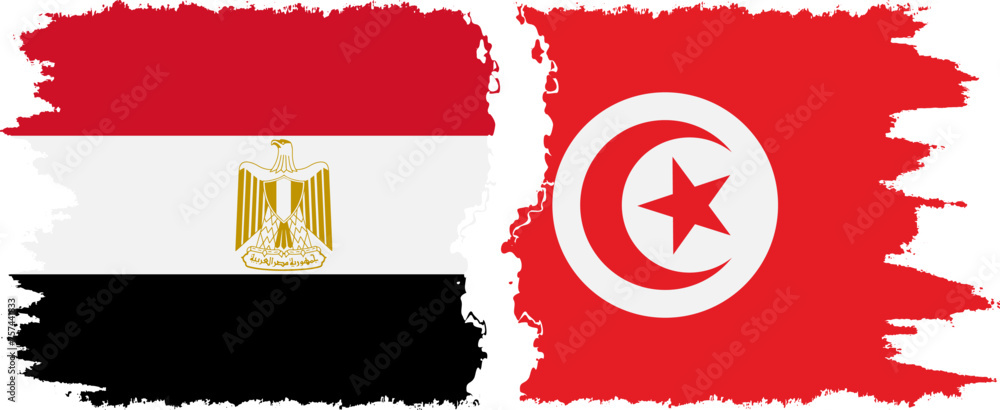 Tunisia and Egypt grunge flags connection vector Tunisia and Egypt grunge flags connection vector