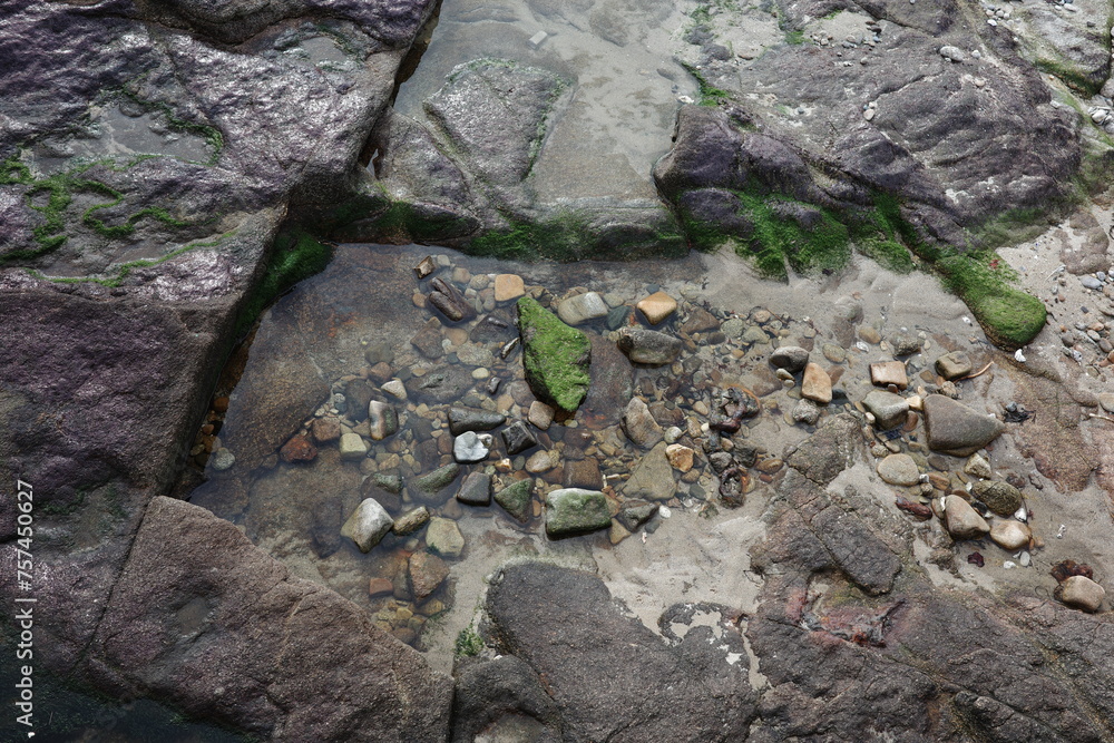 Obraz premium Flaque d'eau .