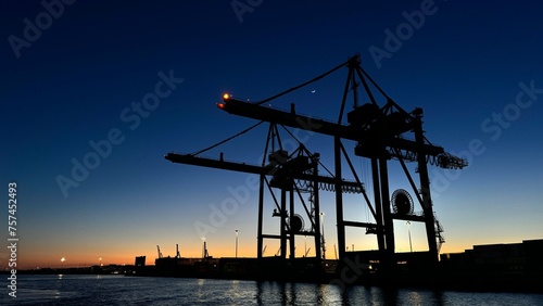 cranes at sunset
