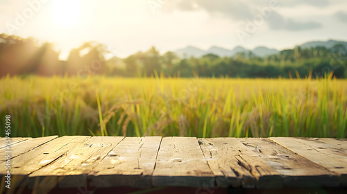 A wooden table sits in the foreground with a vast field stretching out in the background. The natural landscape includes plant life, grass, and a clear sky on the horizon