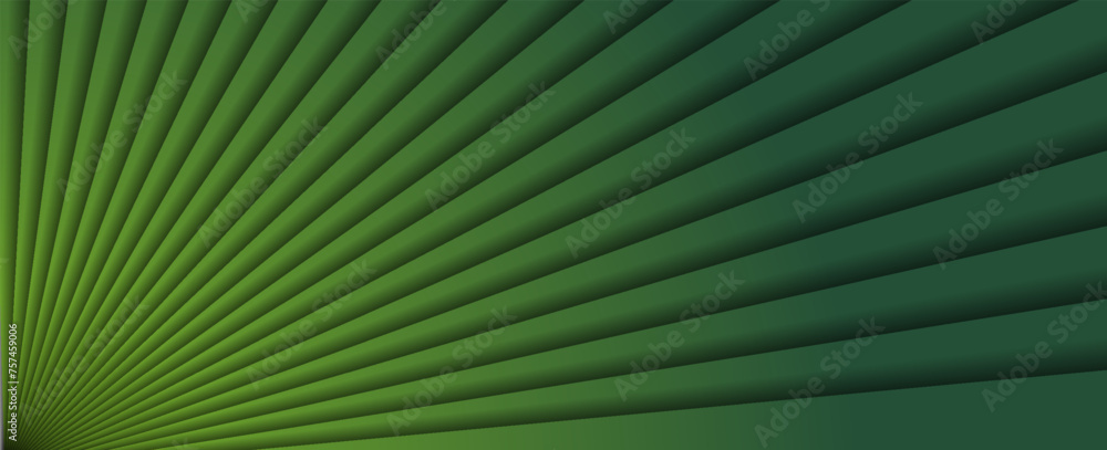 Obraz premium natural tropical green leaf palm leaf texture close up. vector