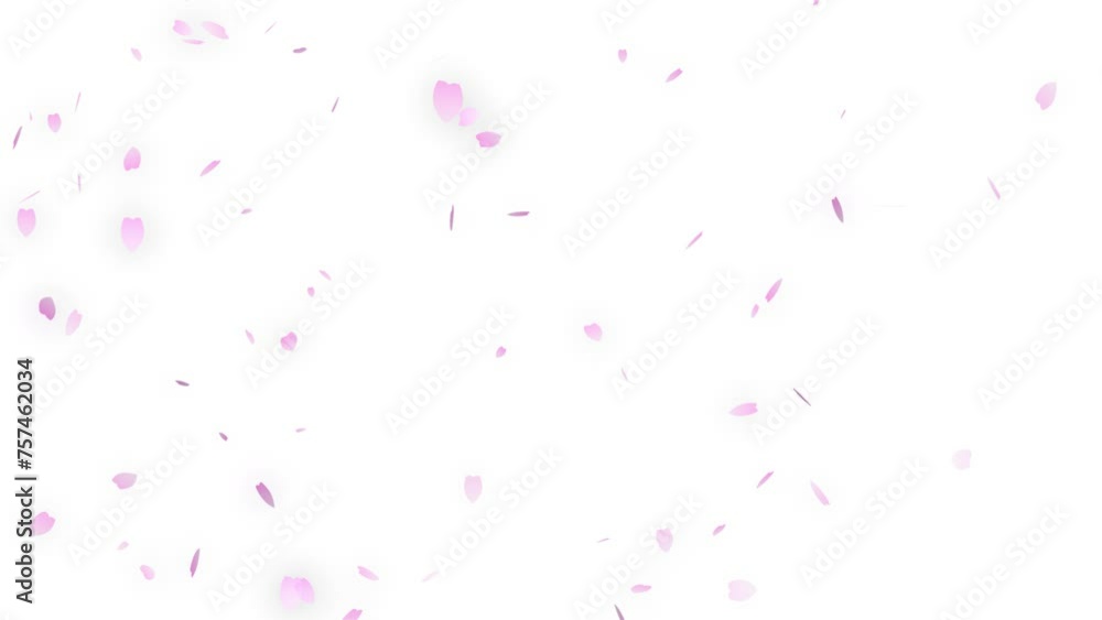 「ピンク色の花びら(桜吹雪)」が舞うアニメーション背景素材 「ピンク色の花びら(桜吹雪)」が舞うアニメーション背景素材