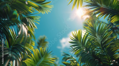 Group of Flowers on Blue Surface