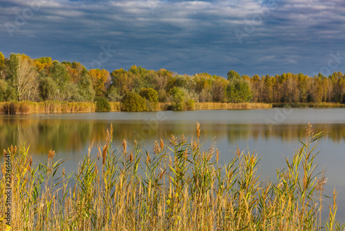 autumn day on lake © Pavlo Klymenko