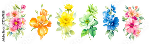 Watercolor Flowers Collection  Isolated On White. Set of colorful wild and garden Plants. Wreaths. Flower for design  decorative elements
