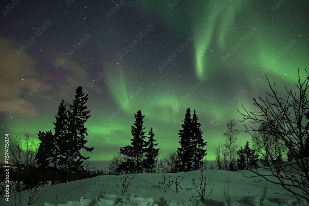 aurora borealis northern lights over the shore of the sea in Tallinn Estonia aurora borealis northern lights over the shore of the sea in Tallinn Estonia