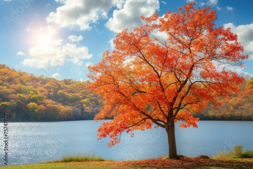 A tree with orange leaves is standing next to a lake