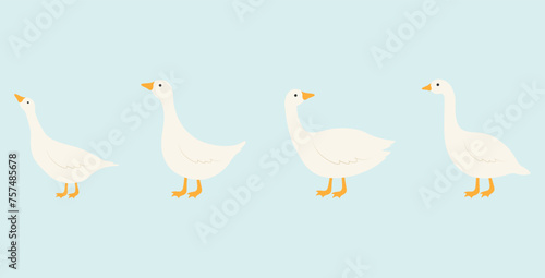 Cute white goose icons set. Vector illustration