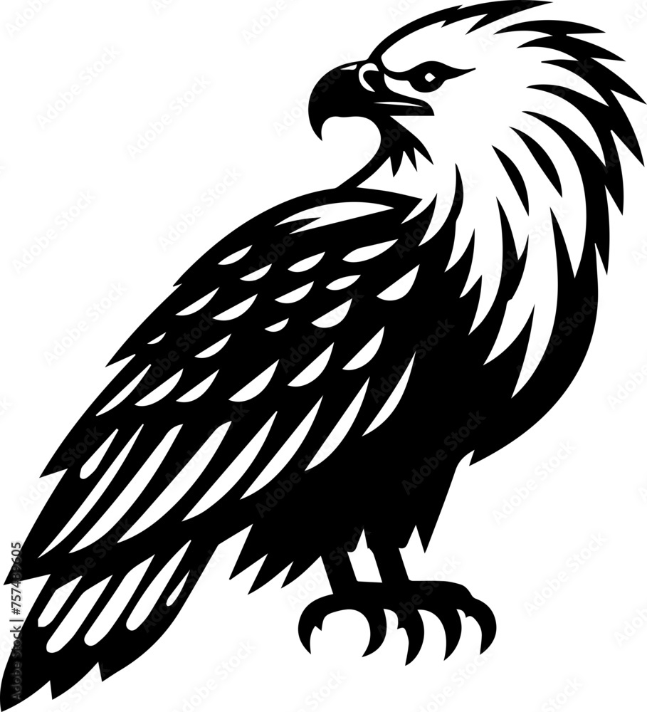 Fototapeta premium African Fish Eagle
