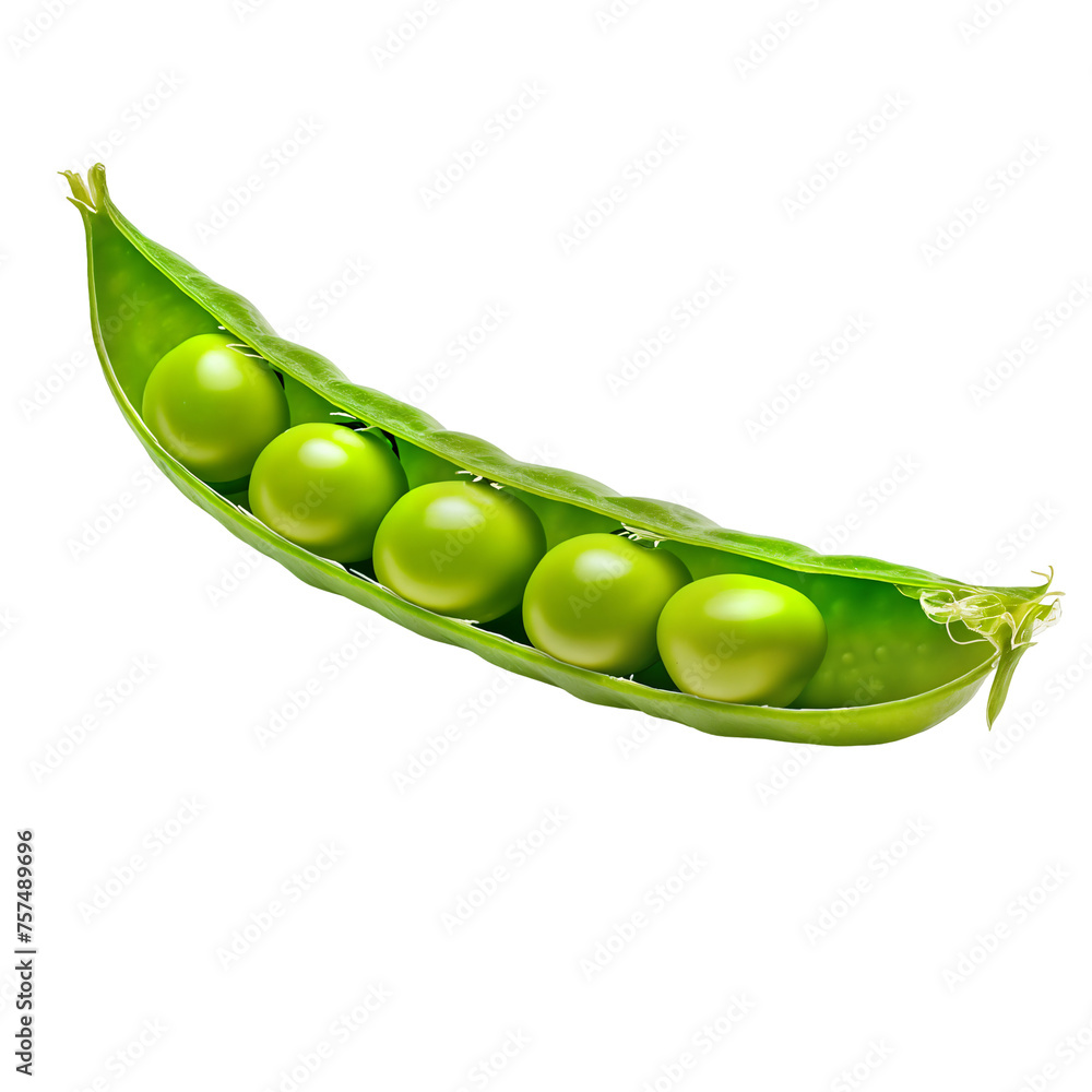 Freshly Picked Green Pea Pods - Healthy Vegetable Ingredient for Culinary Creations - Isolated on a Transparent Background