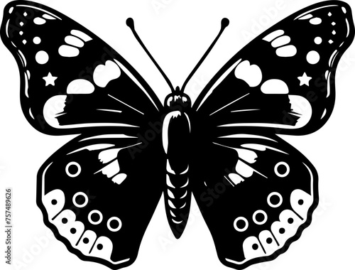  Admiral Butterfly