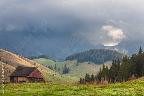Alpine countryside with green fields and high misty mountains at sunrise, Transylvania