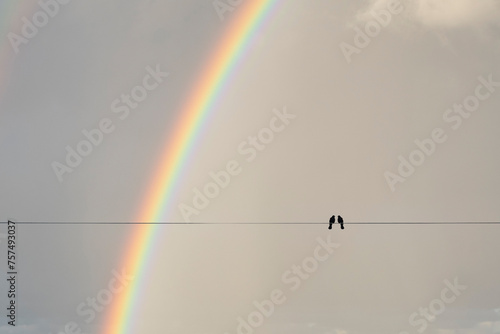 Two birds on a wire or electric line on the sky with rainbow background. Relationship Concept