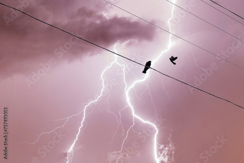 Two birds on a wire or electric line on the stormy sky with lightning strike background. Family relationship concept © flowertiare