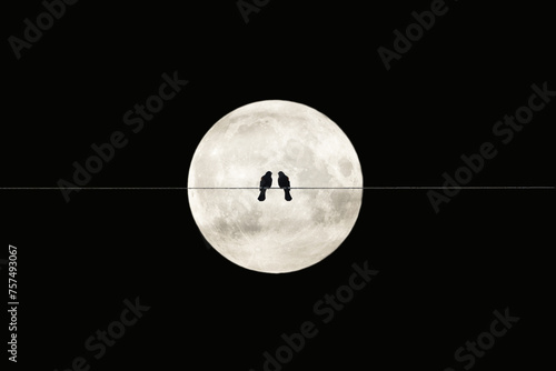 Two birds on a wire or electric line on the night sky with huge moon background. Relationship romantic Concept