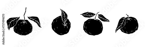 Set of silhouettes of citrus fruit tangerine. Vector graphics.